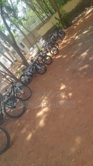 Location Vélo Au Parc Hanne