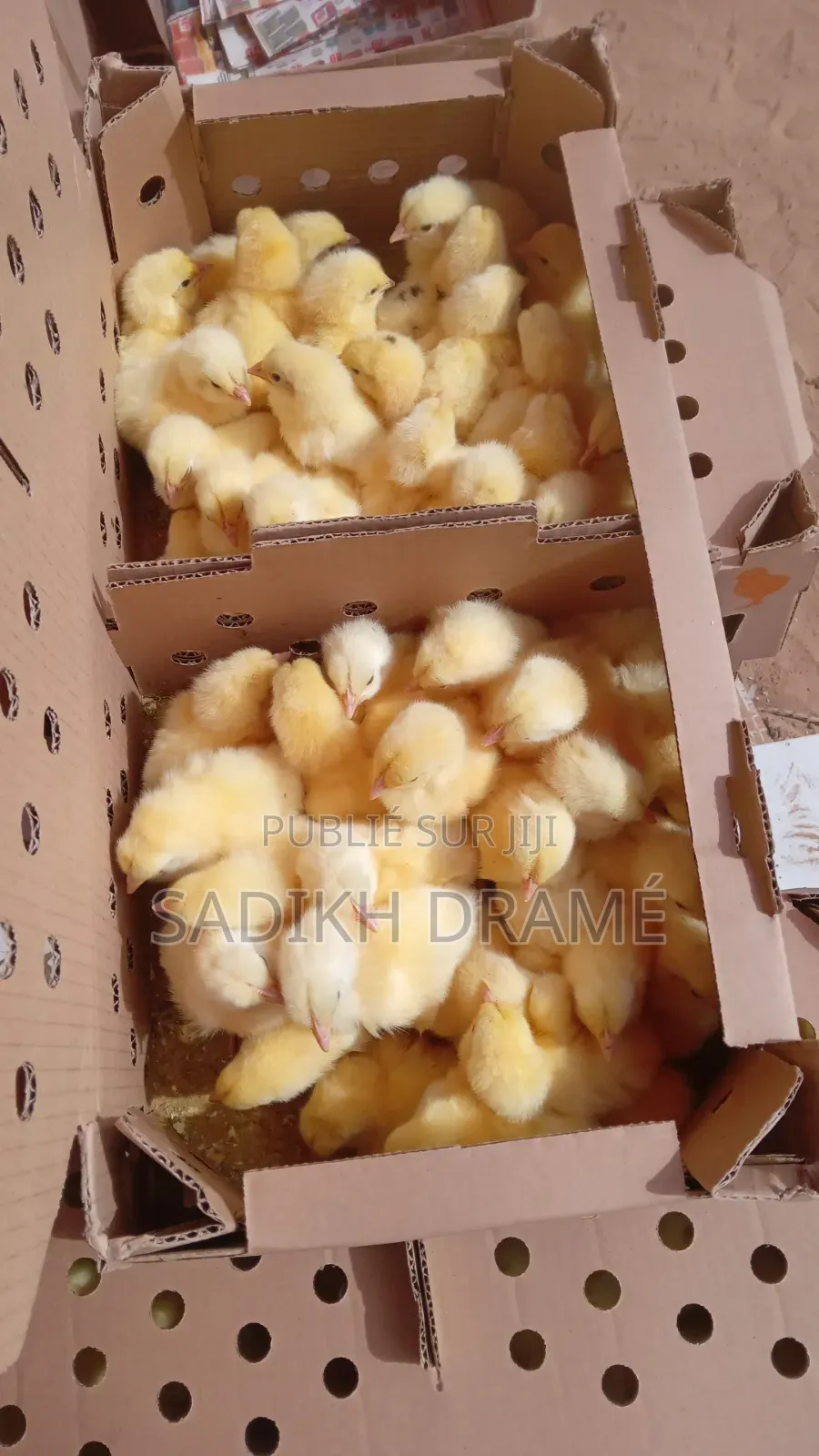 Vente De Aliments De Bétail