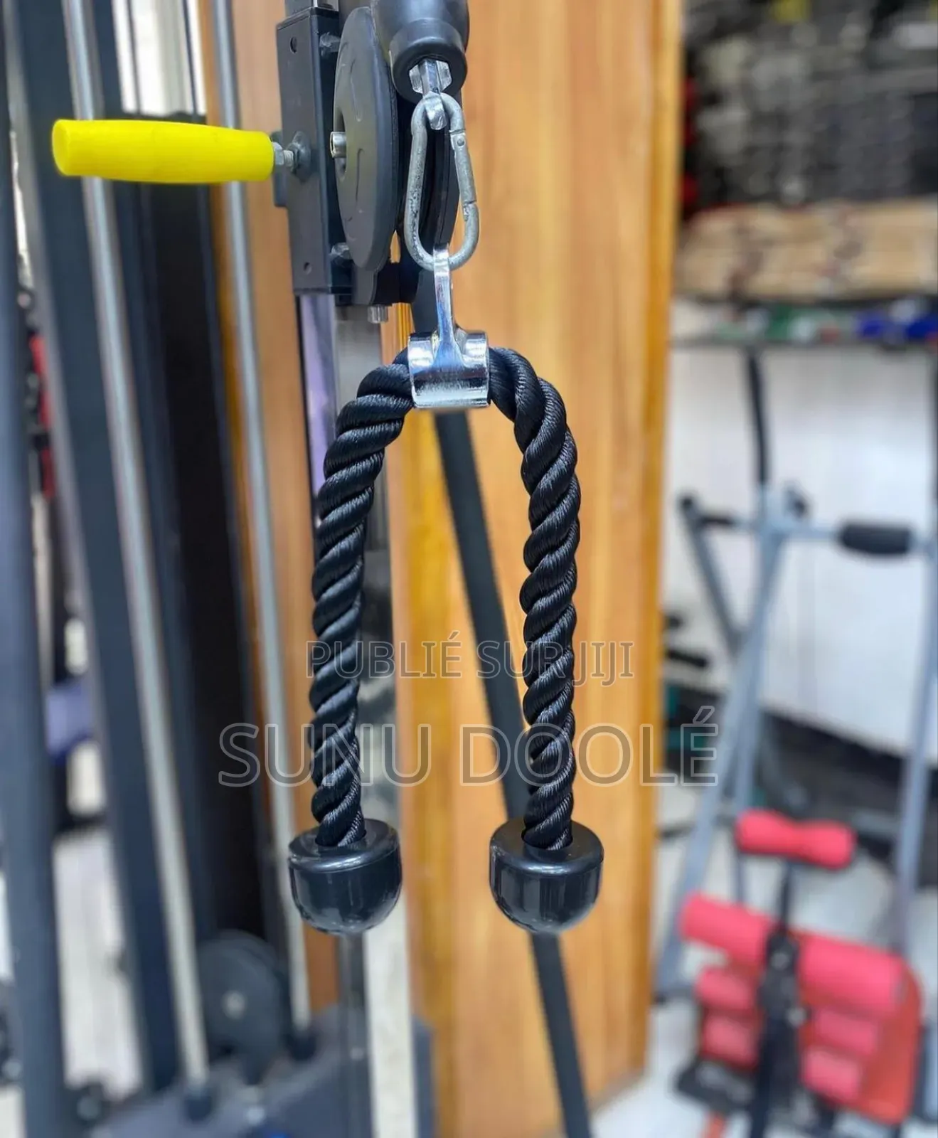 Corde Gym - Triceps - Corde De Traction Pour Power Station À Deux Main
