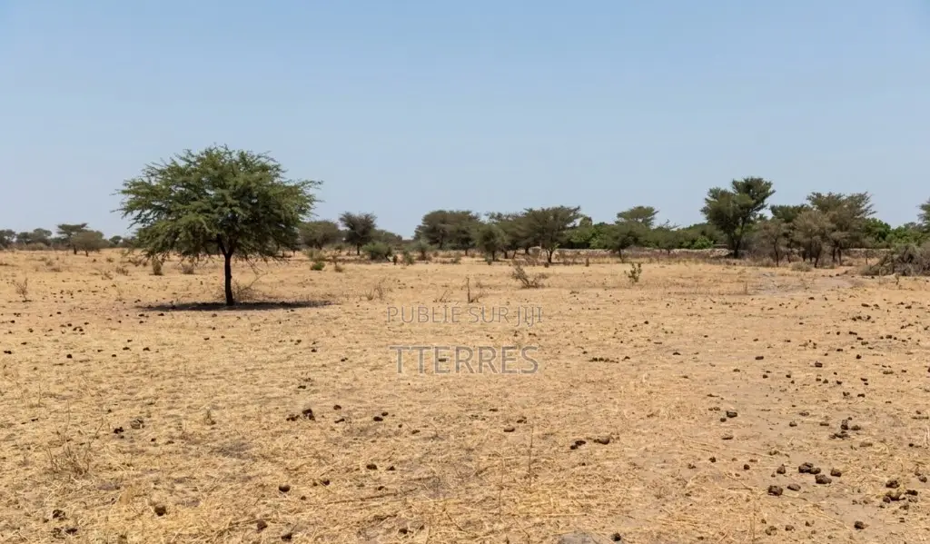 Terrain Agricole De 3 Hectare À Fimela