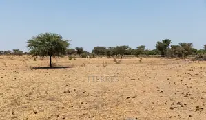 Terrain Agricole De 3 Hectare À Fimela