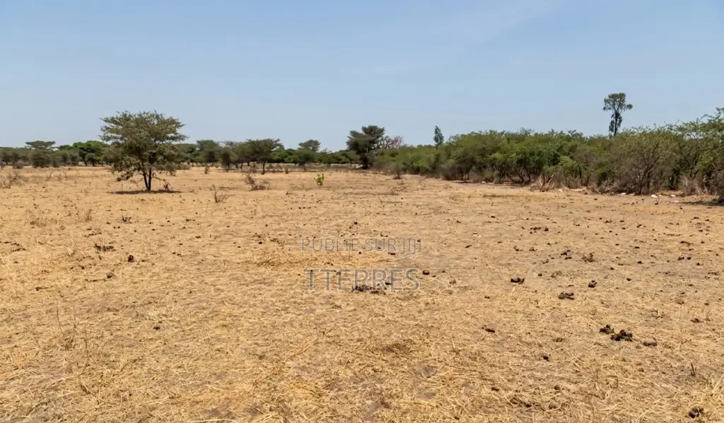 Terrain Agricole De 3 Hectare À Fimela