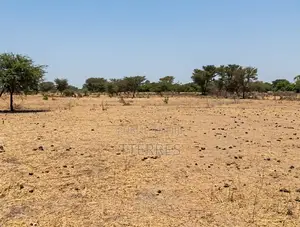 Terrain Agricole De 3 Hectare À Fimela