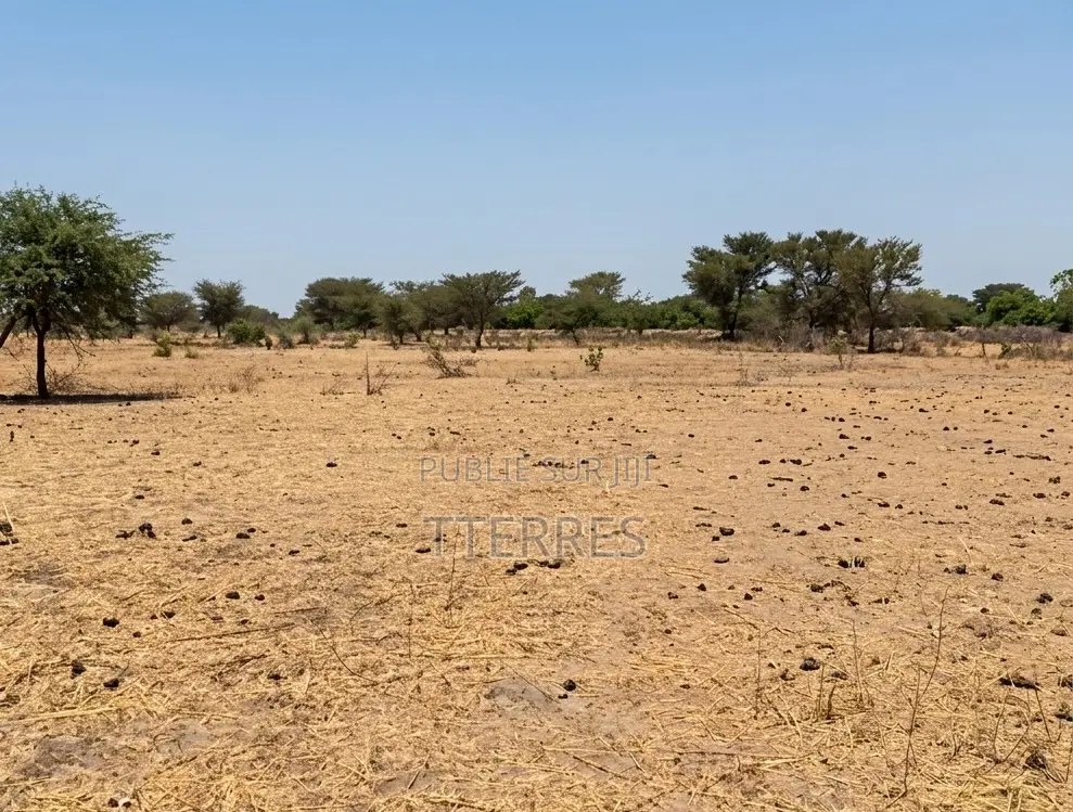 Terrain Agricole De 3 Hectare À Fimela