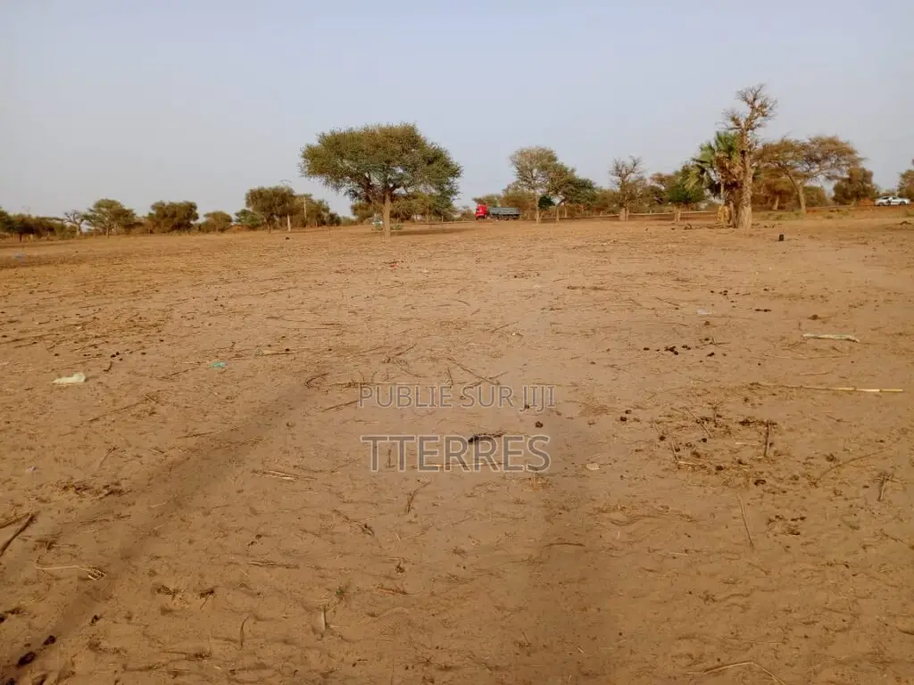 Terrain Industriel De 4.871 M2 Vers Keur Samba Kane