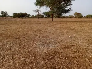 Terrain Industriel De 4.871 M2 Vers Keur Samba Kane