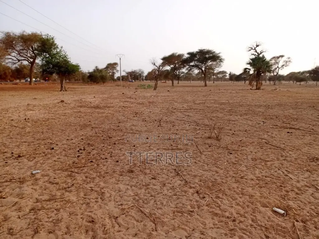 Terrain Industriel De 4.871 M2 Vers Keur Samba Kane
