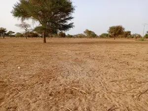 Terrain Industriel De 4.871 M2 Vers Keur Samba Kane