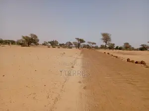 Terrain Agricole De 2,91 Hectares Vers Keur Samba Kane