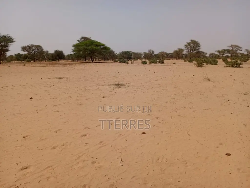 Terrain Agricole De 2,91 Hectares Vers Keur Samba Kane