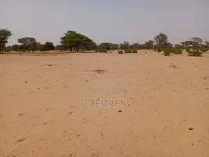 Terrain Agricole De 2,91 Hectares Vers Keur Samba Kane