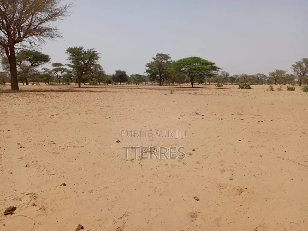 Terrain Agricole De 2,91 Hectares Vers Keur Samba Kane