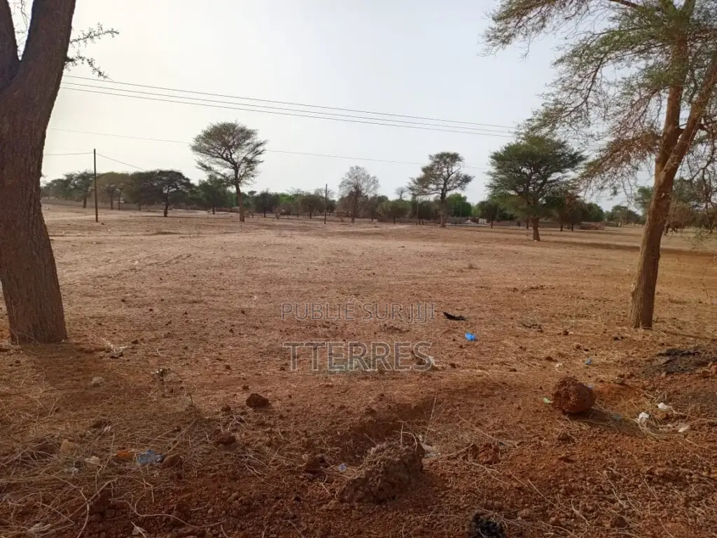 Terrain Agricole De 9.058 M2 Vers Keur Samba Kane