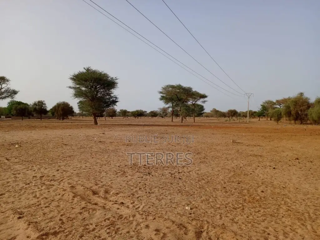 Terrain Agricole De 9.058 M2 Vers Keur Samba Kane