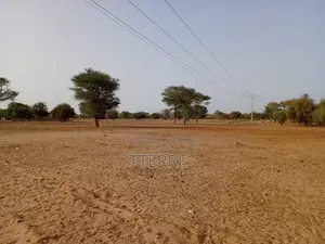 Terrain Agricole De 9.058 M2 Vers Keur Samba Kane