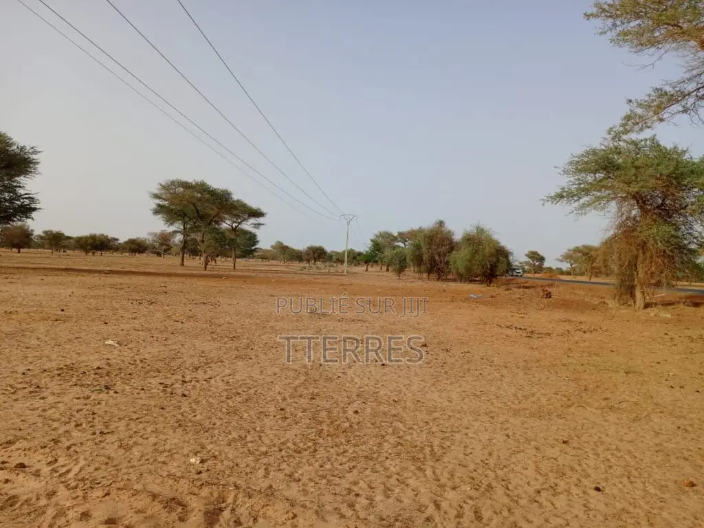 Terrain Agricole De 9.058 M2 Vers Keur Samba Kane