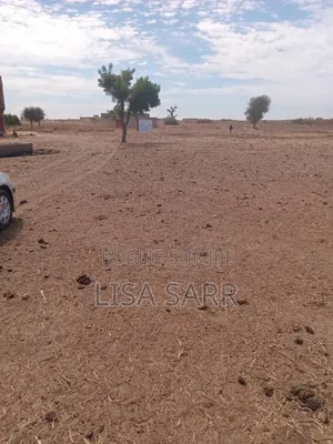 Vente De Terrains Dans La Commune De Keur Moussa