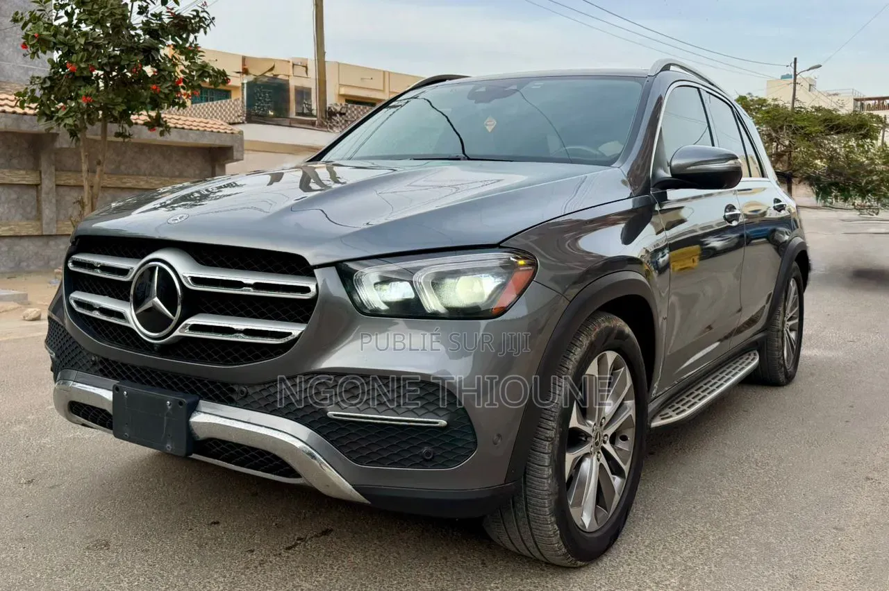 Mercedes-Benz GLE-Class GLE 450 4MATIC 2020 Gris