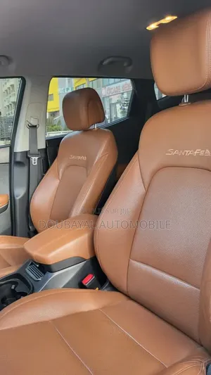 Hyundai Santa Fe 2018 Autre