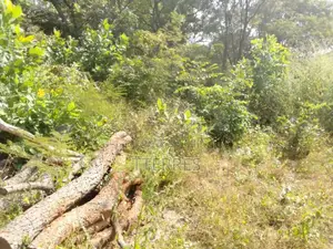 Terrain Agricole De 5 Hectares Vers Bignona-Ziguinchor