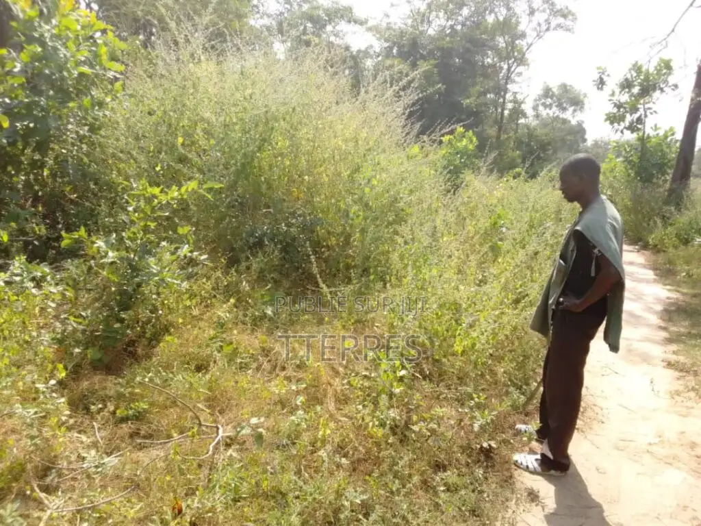 Terrain Agricole De 5 Hectares Vers Bignona-Ziguinchor