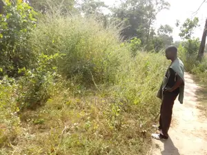 Terrain Agricole De 5 Hectares Vers Bignona-Ziguinchor