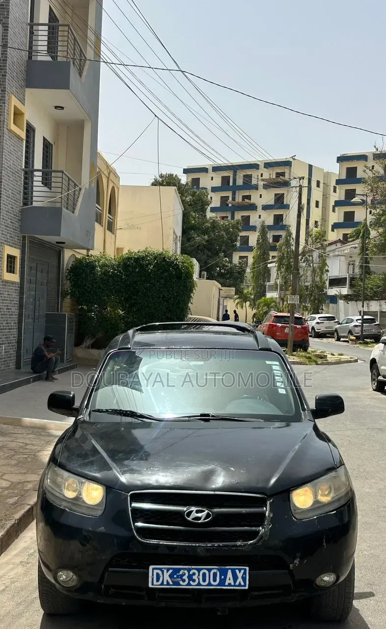 Hyundai Santa Fe 2010 Autre