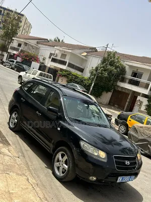 Hyundai Santa Fe 2010 Autre