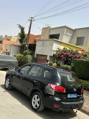 Hyundai Santa Fe 2010 Autre