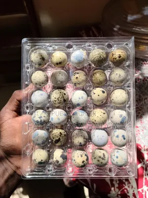 Oeuf De Caille