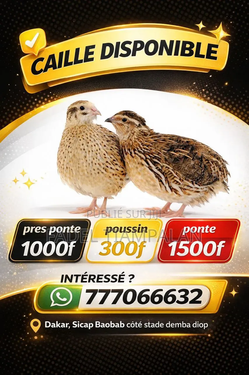 Oeuf De Caille