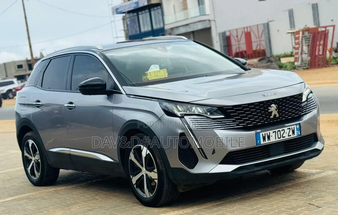 Peugeot 3008 2021 Gris