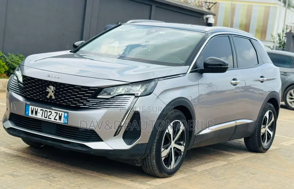 Peugeot 3008 2021 Gris