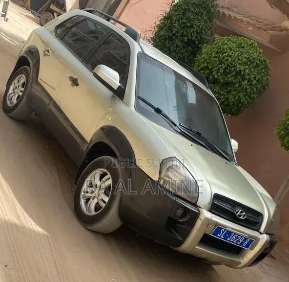 Hyundai Tucson 2009 Doré