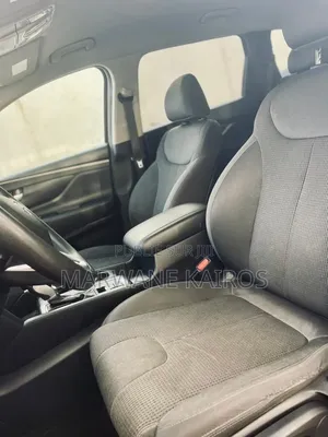 Hyundai Santa Fe 2019 Noir