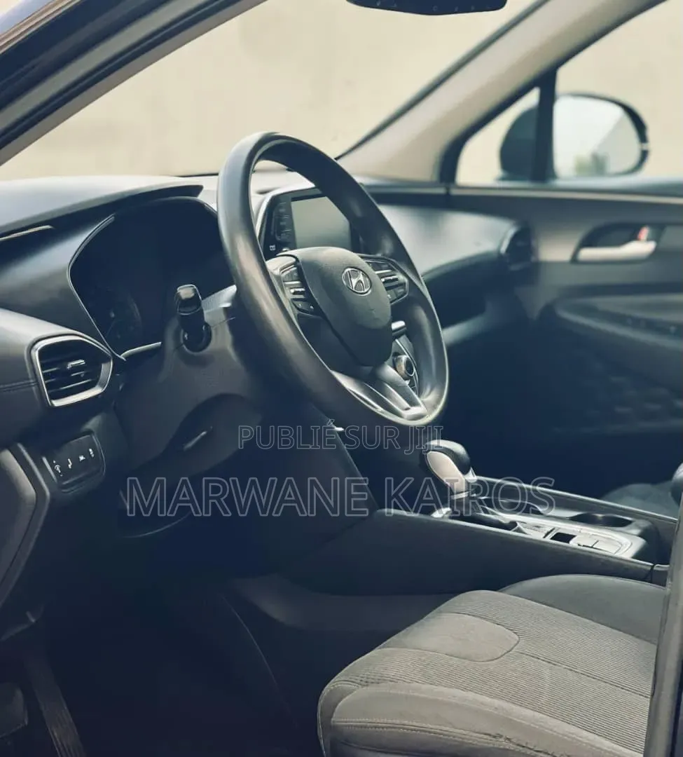 Hyundai Santa Fe 2019 Noir