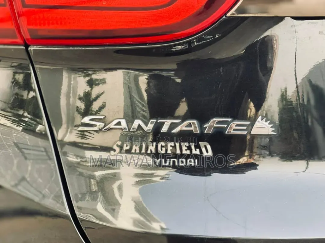 Hyundai Santa Fe 2019 Noir