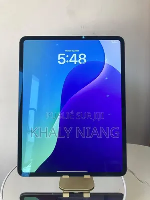 Nouveau Apple iPad Pro 256 GB Gris