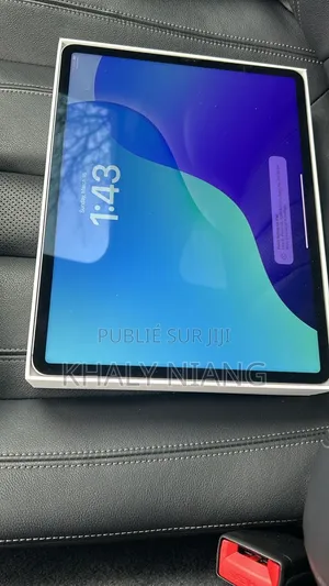Nouveau Apple iPad Pro 256 GB Gris