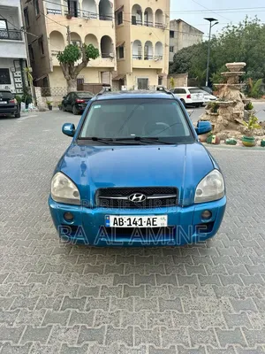 Hyundai Tucson 2008 Bleu