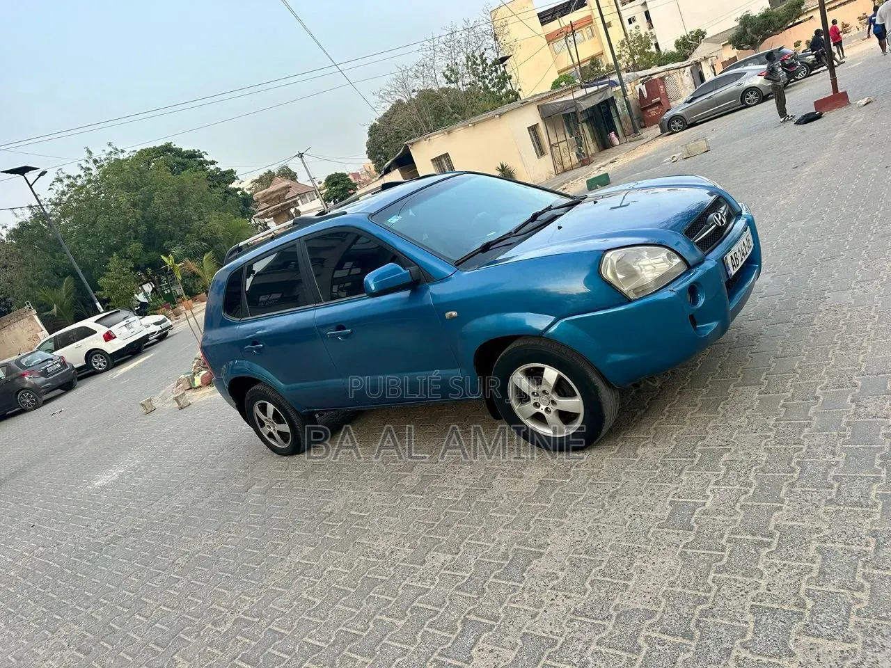 Hyundai Tucson 2008 Bleu
