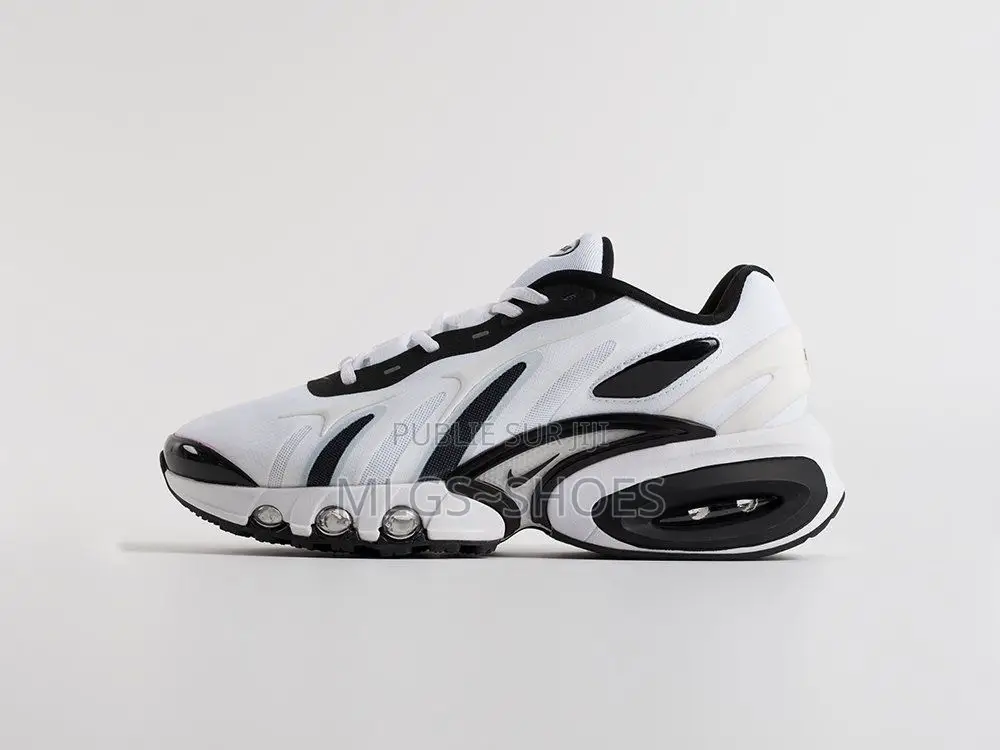 Air Max Dn Blanc Et Noir