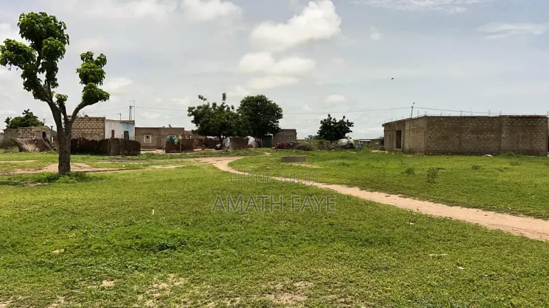 J'ai Des Terrain À Vendre À Mbour De 500m2