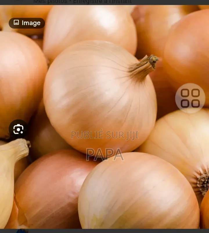 Oignons Et Pomme De Terre