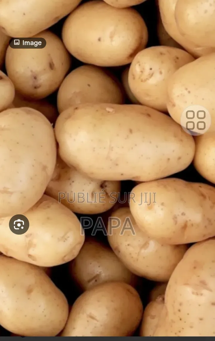 Oignons Et Pomme De Terre