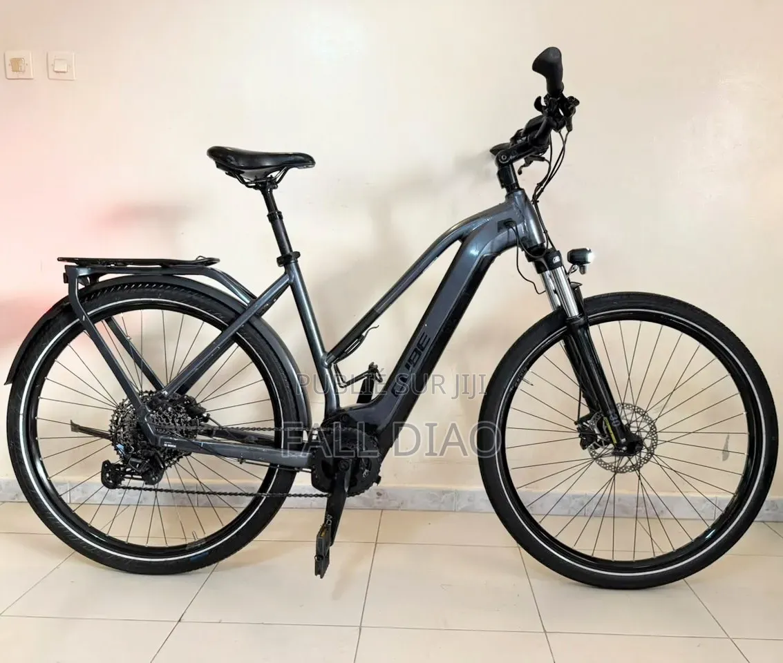 Arche Vector 2024 Gris
