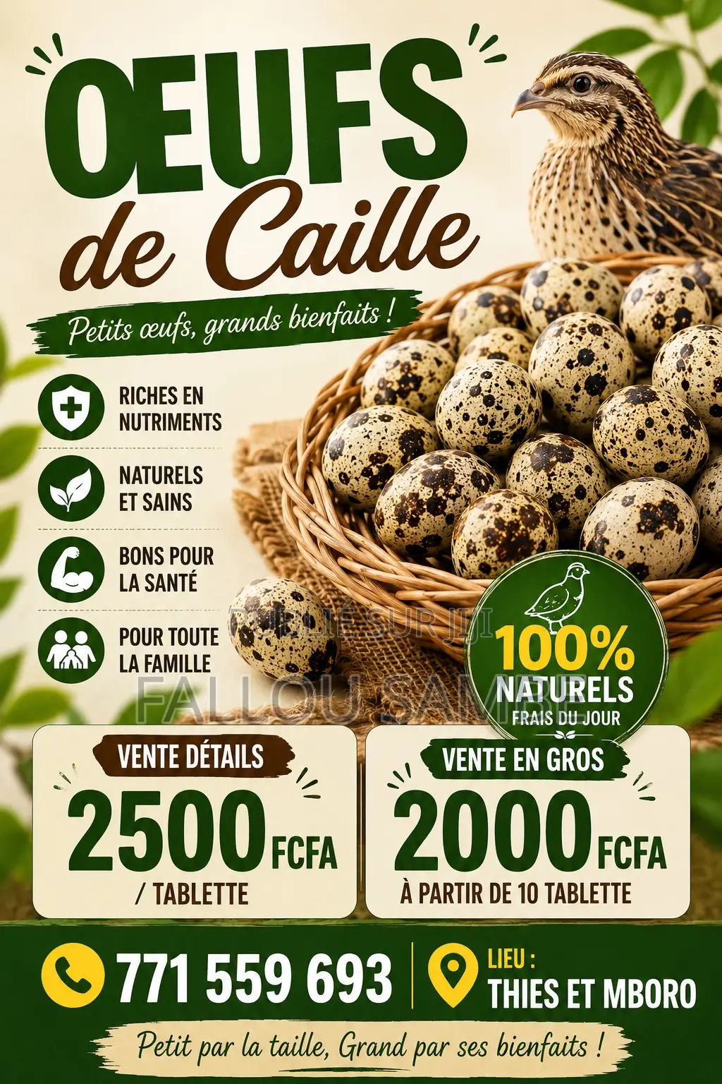 Vente Oeufs De Goliath Et De Caille