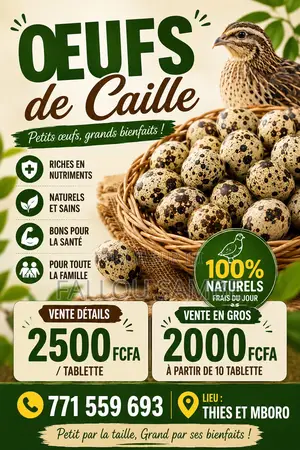 Vente Oeufs De Goliath Et De Caille