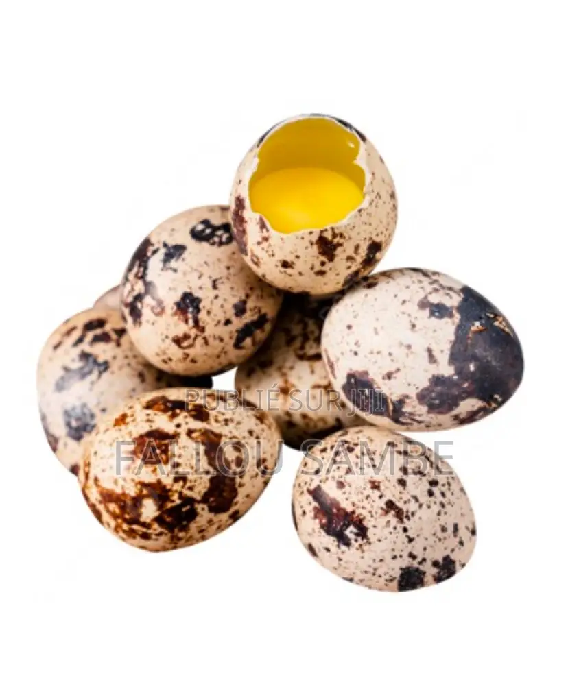 Vente Oeufs De Goliath Et De Caille