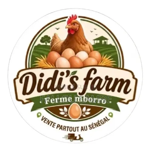 Vente Oeufs De Goliath Et De Caille